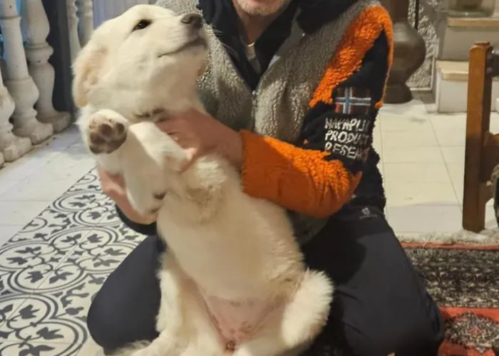 Wagon-lit 4* 볼로냐